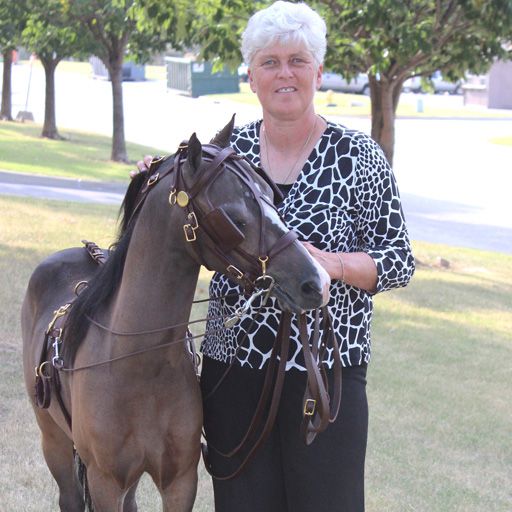 Ozark Kildow Mini/Pony Breaking Driving Harness – Safe & Durable