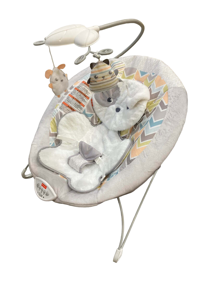  Fisher Price Deluxe Bouncer, Sweet Snugapuppy Dreams