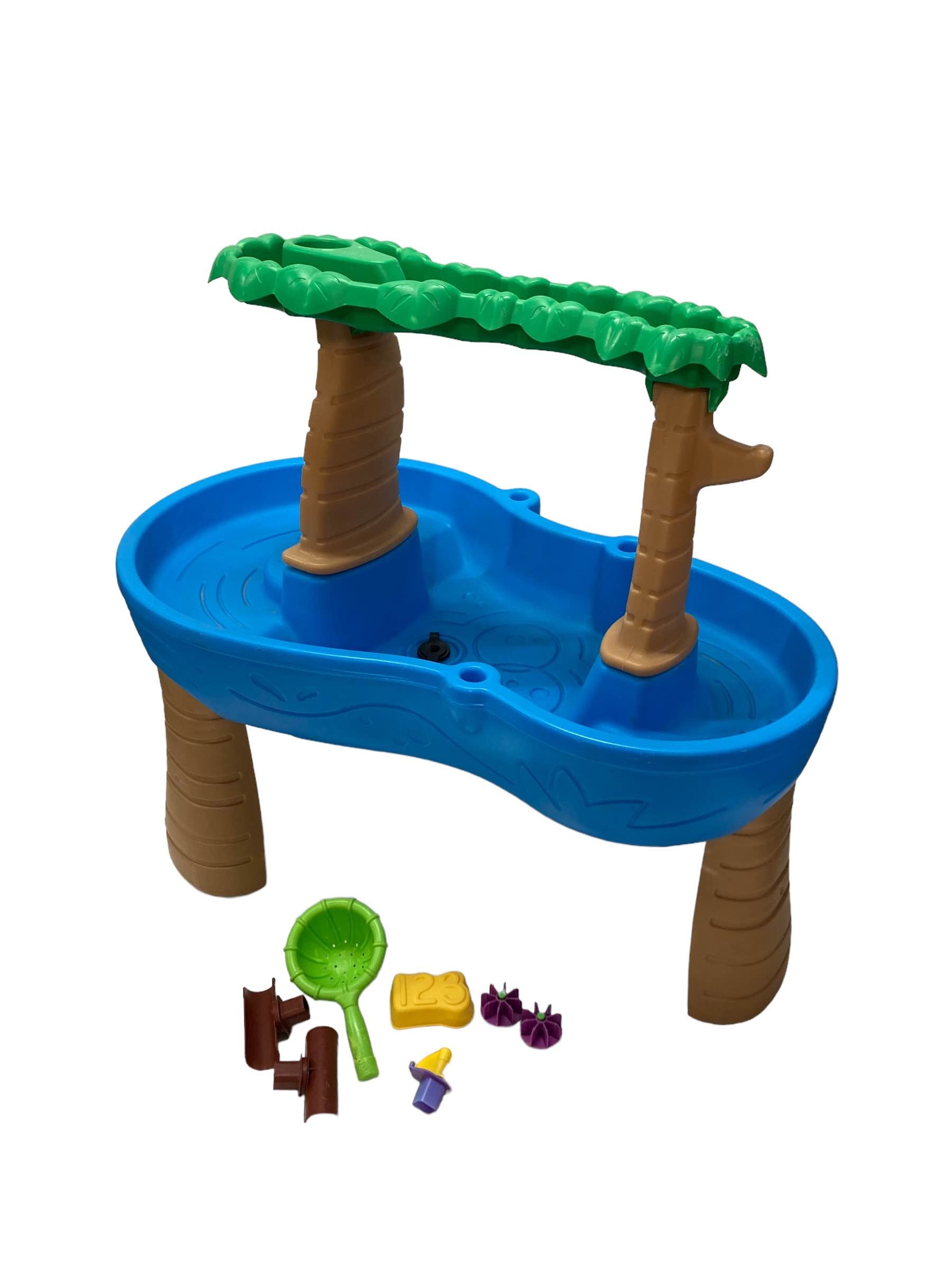  Step2 Rain Tropical Rainforest Water Table