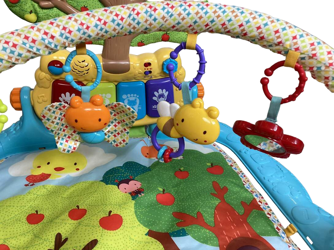  VTech Lil’ Critters Musical Glow Gym
