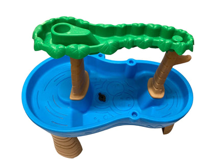  Step2 Rain Tropical Rainforest Water Table
