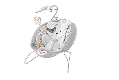  Fisher Price Deluxe Bouncer, Sweet Snugapuppy Dreams