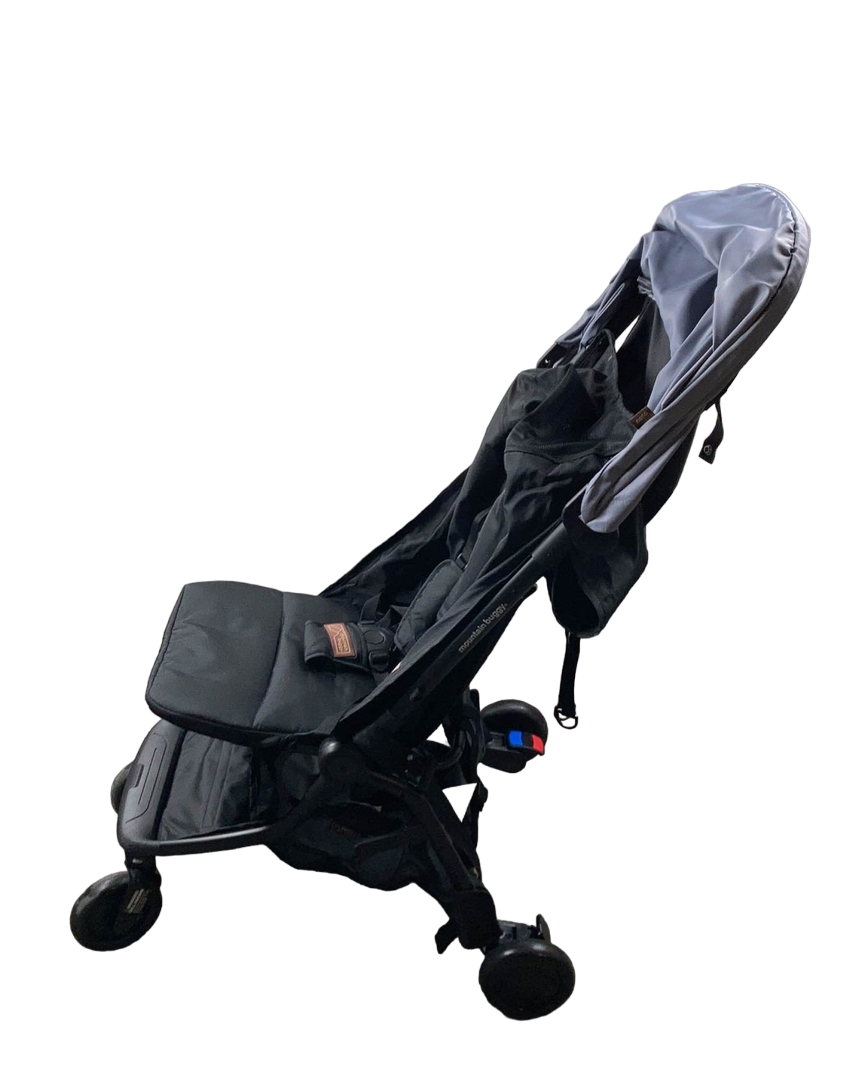  Mountain Buggy Nano V3 Stroller, Silver, 2021