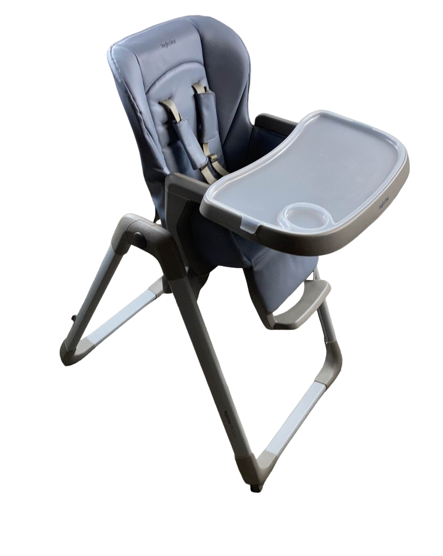  Inglesina MyTime Highchair, Sugar