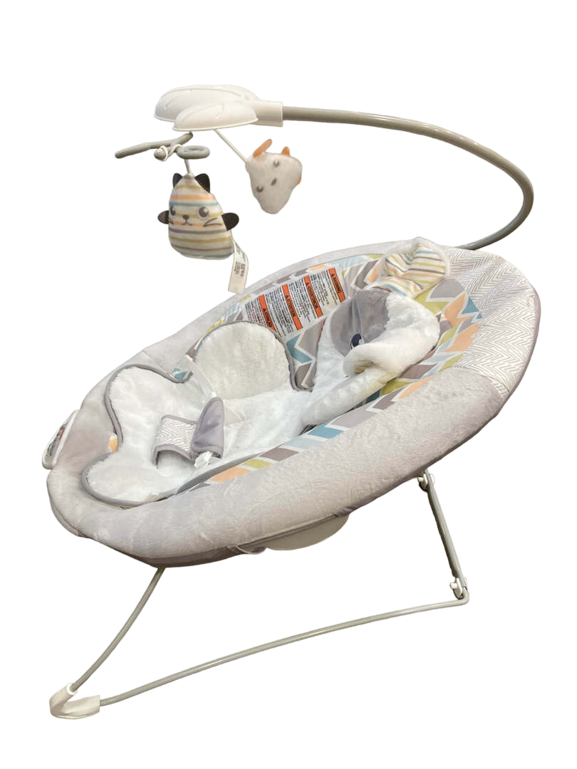  Fisher Price Deluxe Bouncer, Sweet Snugapuppy Dreams