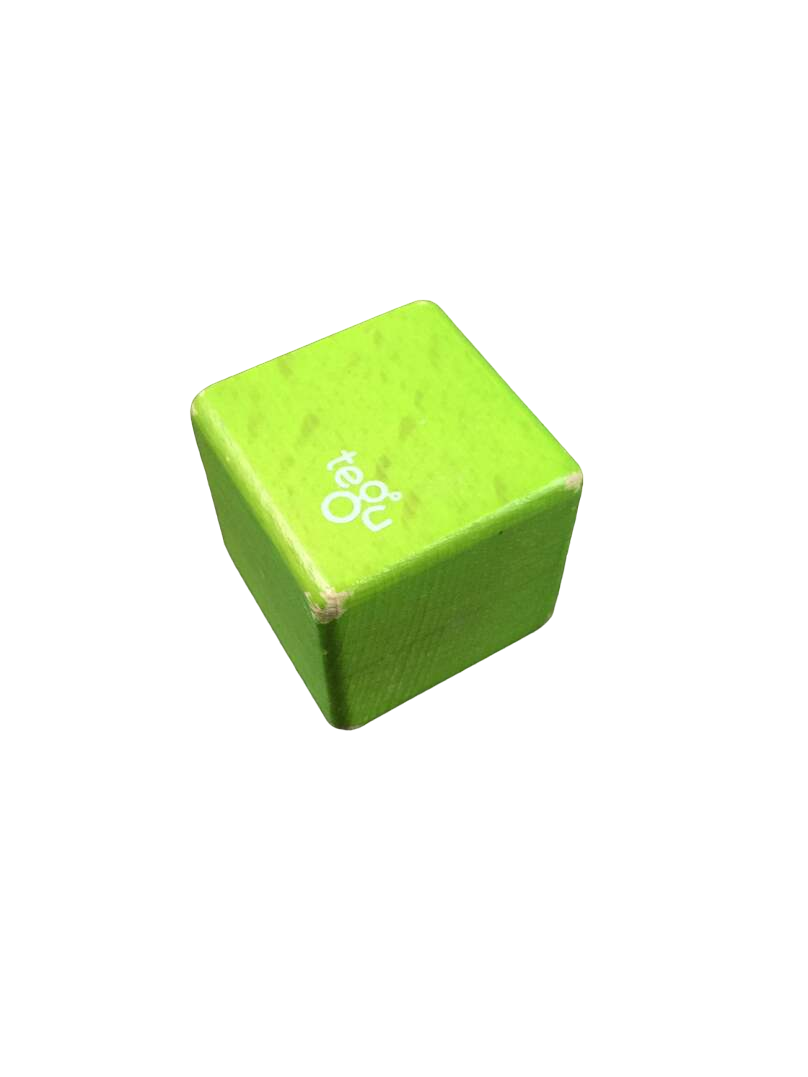  Tegu Pocket Pouch Magnetic Wooden Block Set