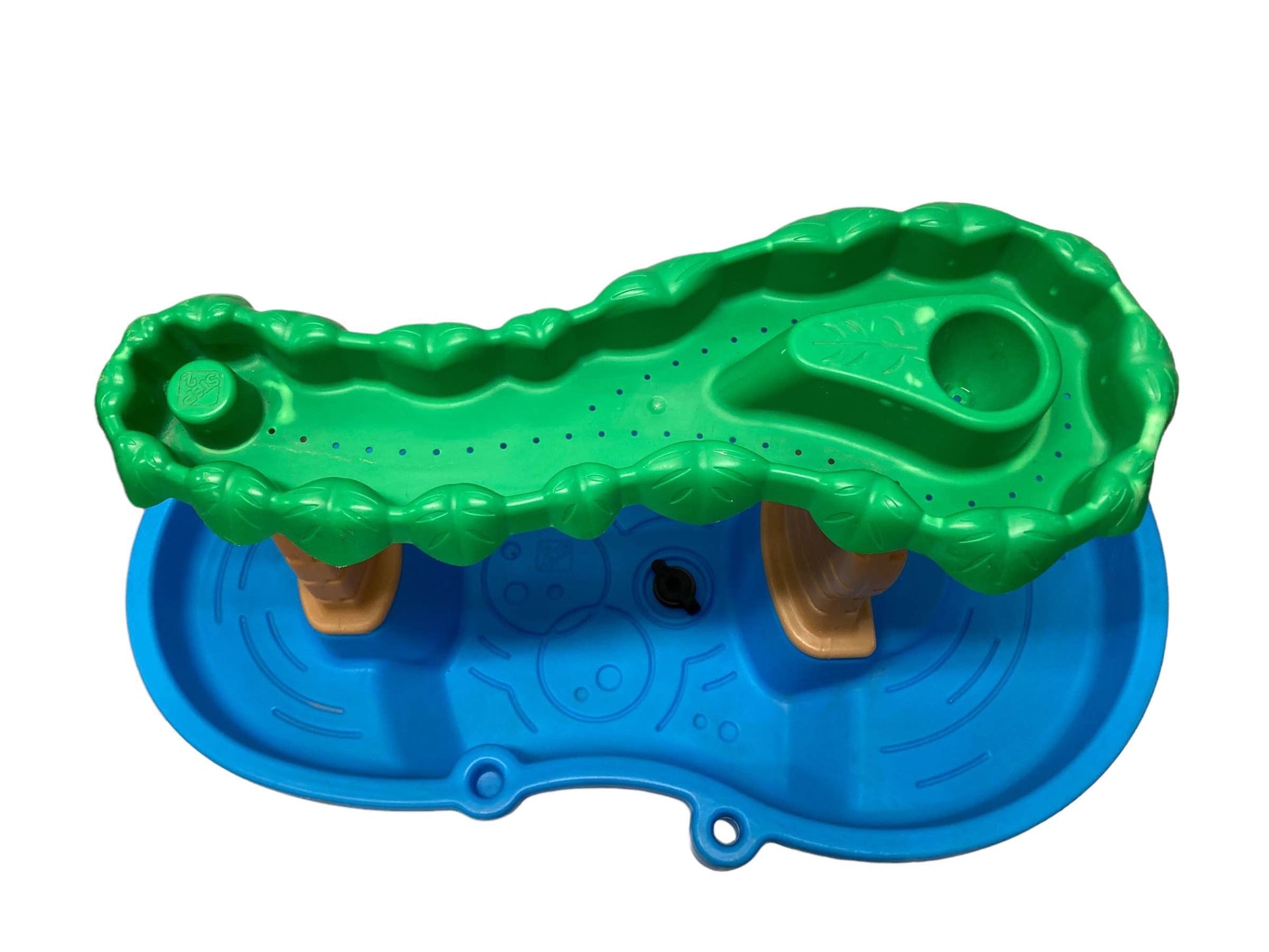  Step2 Rain Tropical Rainforest Water Table