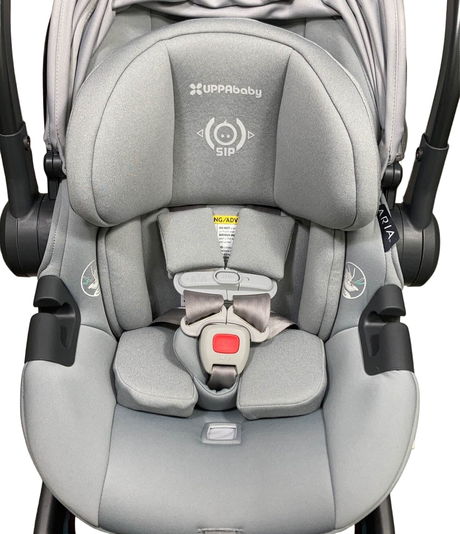  UPPAbaby Aria Infant Car Seat, 2023, Anthony