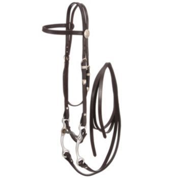Royal King Basic Show Headstall Set