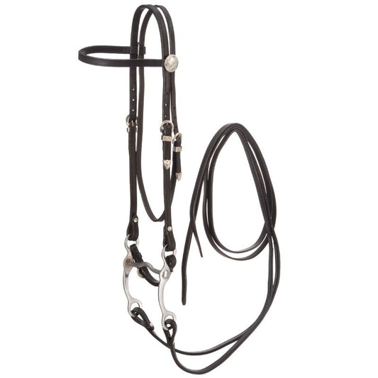 Royal King Basic Show Headstall Set
