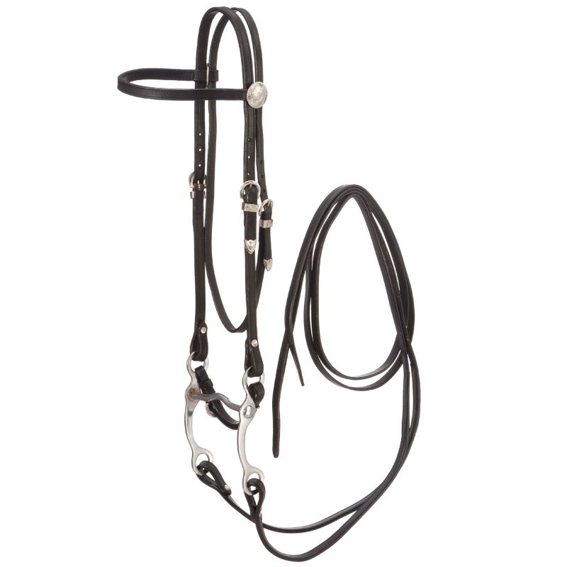 Royal King Basic Show Headstall Set