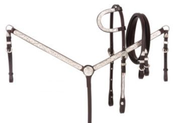Royal King Single Ear Silver Western Show Set