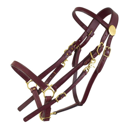 Tucker Halter Bridle Lite w/ Chrome – Lightweight Versatility