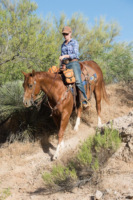 Weaver Western Edge Sliding Ear Headstall – No-Slip Fit