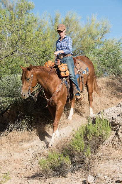 Weaver Western Edge Sliding Ear Headstall – No-Slip Fit