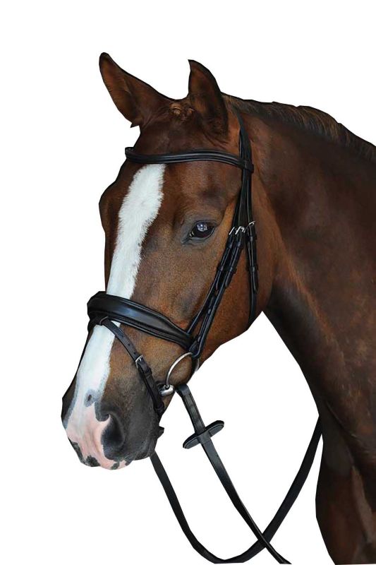 Collegiate Mono Crown Raised Flash Bridle