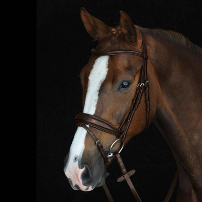 Collegiate Mono Crown Raised Flash Bridle