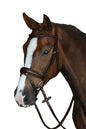 Collegiate Mono Crown Raised Flash Bridle