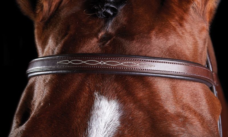 Collegiate ComFiTec Fancy Stitch Bridle – Tech Comfort