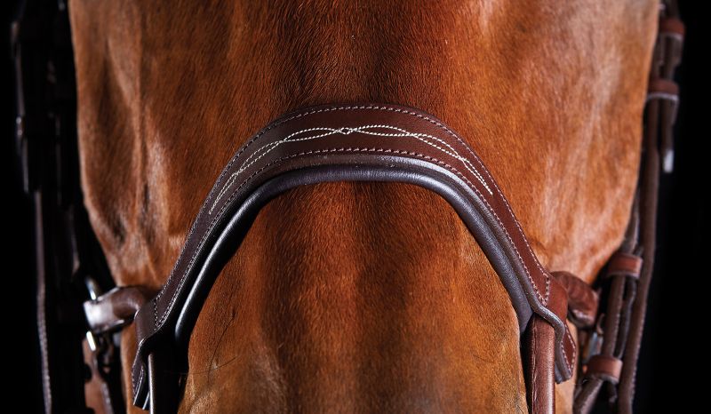 Collegiate ComFiTec Fancy Stitch Bridle – Tech Comfort