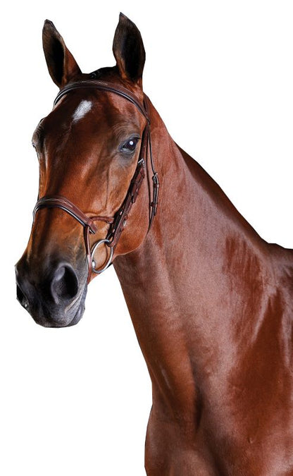Collegiate ComFiTec Fancy Stitch Bridle – Tech Comfort