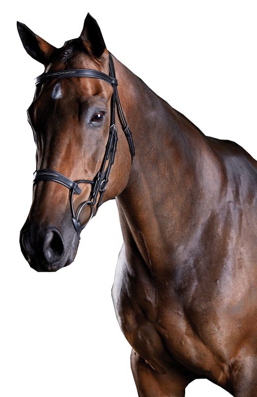 Collegiate ComFiTec Fancy Stitch Bridle – Tech Comfort