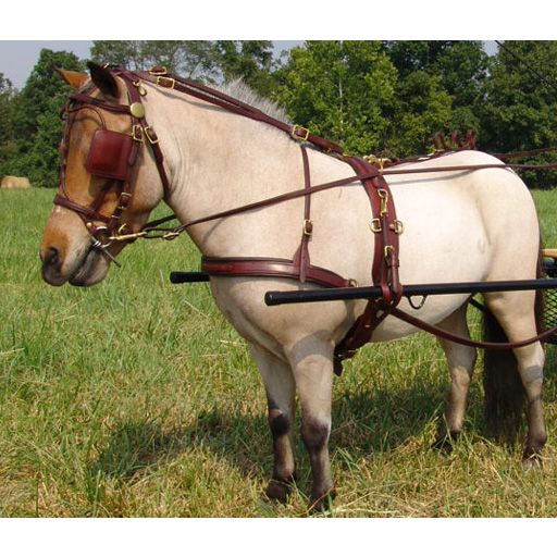 Ozark Kildow Mini/Pony Breaking Driving Harness – Safe & Durable