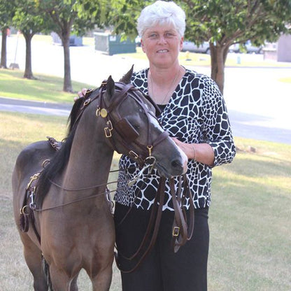 Ozark Kildow Mini/Pony Breaking Driving Harness – Safe & Durable