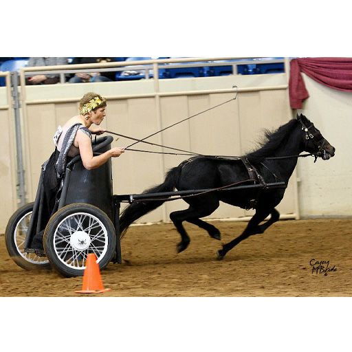 Ozark Kildow Mini/Pony Breaking Driving Harness – Safe & Durable