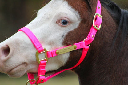 Ozark Mini Personal Nylon Halter with Brass Tags