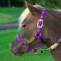 Ozark Mini Personal Nylon Halter with Brass Tags