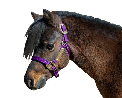 Ozark Mini Personal Nylon Halter with Brass Tags