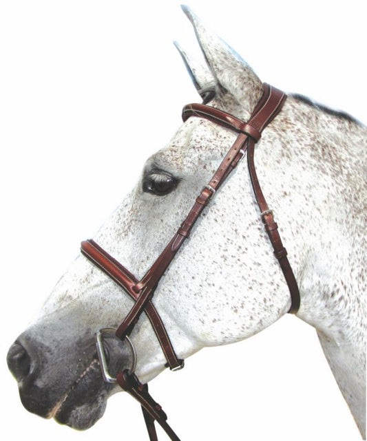 HDR Pro Mono Crown Padded Bridle – Comfort