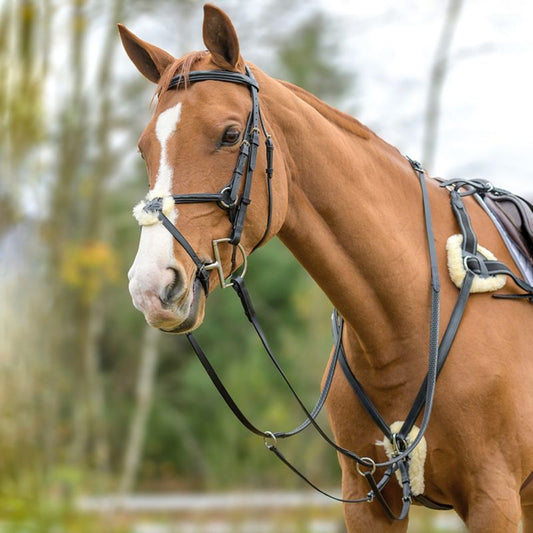 Shires Avignon 5-Point Breastplate – Durable