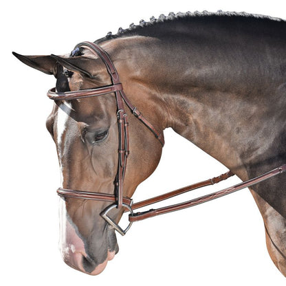 M. Toulouse Novice Hunter Bridle – Elegant & Functional