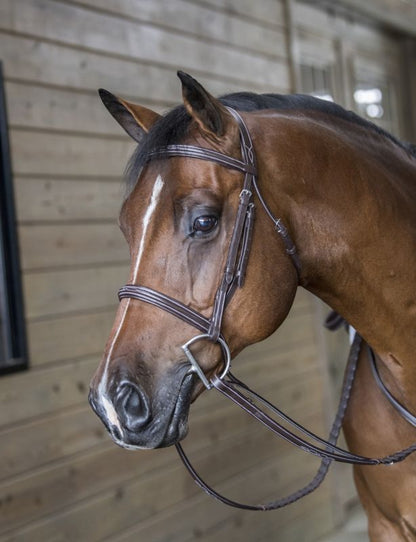 DaVinci Fancy Raised Comfort Bridle for English Riding