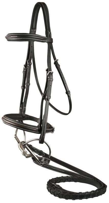 DaVinci Fancy Raised Comfort Bridle for English Riding