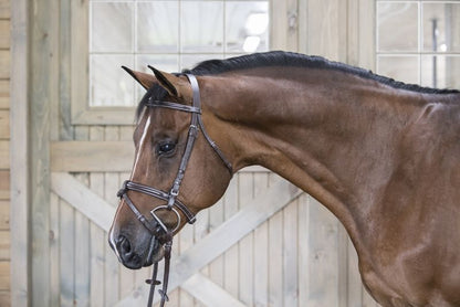 DaVinci Raised Event/Dressage Combo Bridle