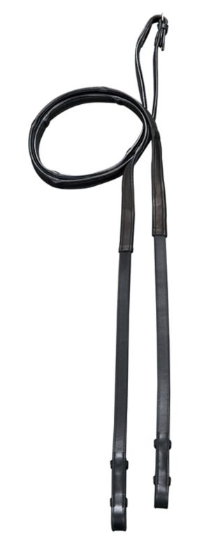 Arc de Triomphe Leon Dressage Bridle – Elegant