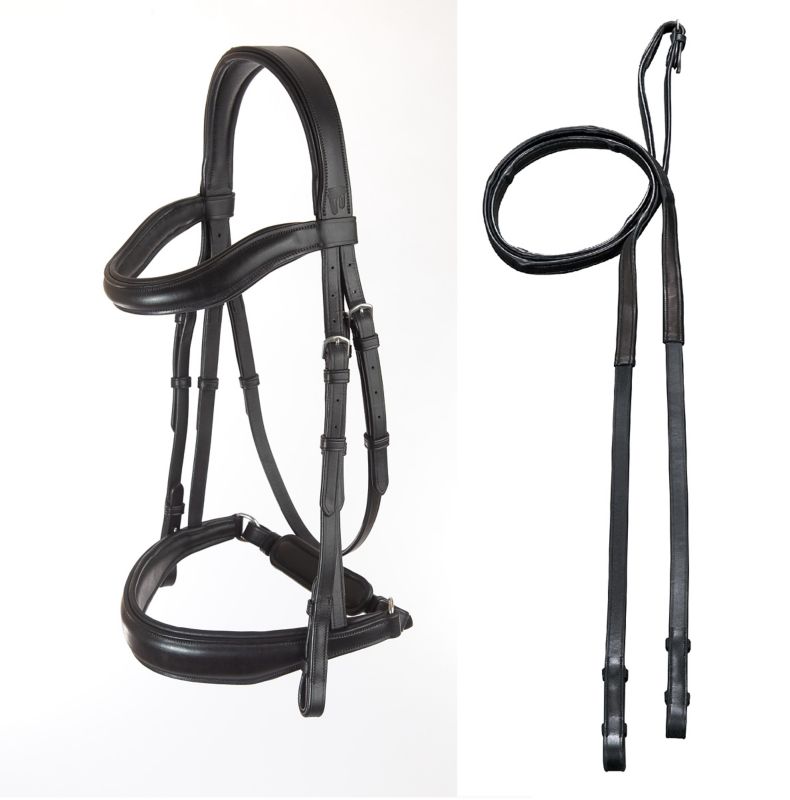 Arc de Triomphe Leon Dressage Bridle – Elegant