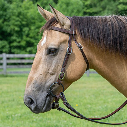 Tabelo Browband Headstall Buckle Ends