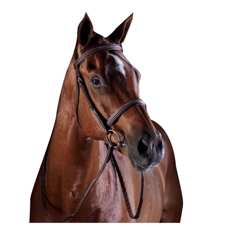 Collegiate CC Fancy Raised Cavesson Noseband