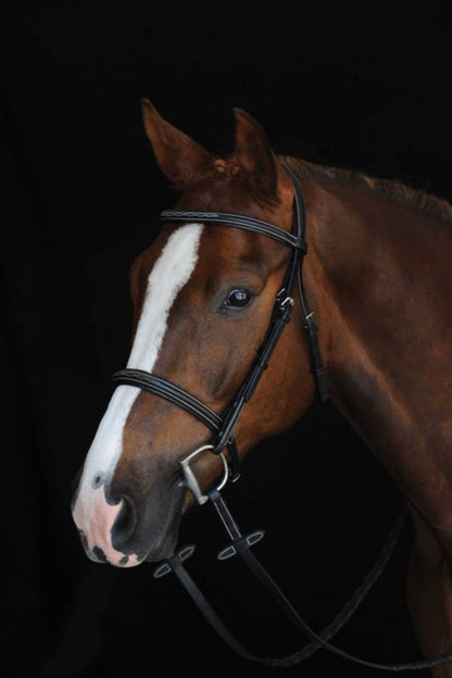 Collegiate CC Fancy Raised Cavesson Noseband