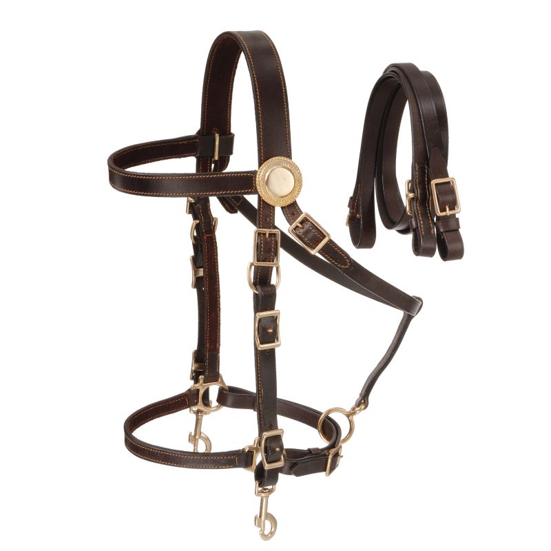 Australian Outrider Deluxe Halter Bridle w/ Reins