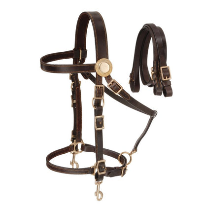 Australian Outrider Deluxe Halter Bridle w/ Reins