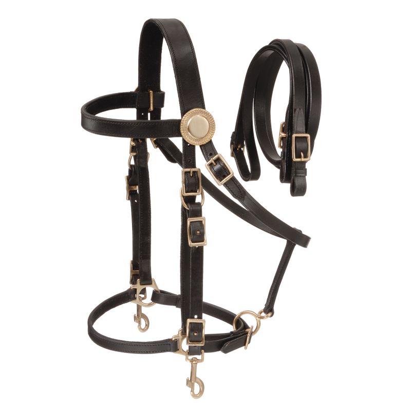 Australian Outrider Deluxe Halter Bridle w/ Reins