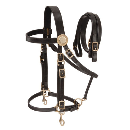 Australian Outrider Deluxe Halter Bridle w/ Reins
