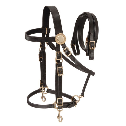 Australian Outrider Deluxe Halter Bridle w/ Reins