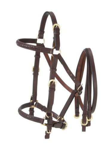 Australian Outrider Halter Bridle with Reins