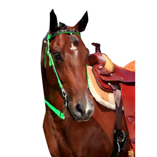 Triple E Nylon Southwest Trail Bridle